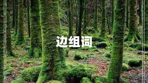 邊組詞