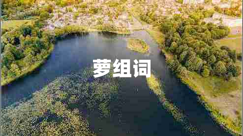 蘿組詞