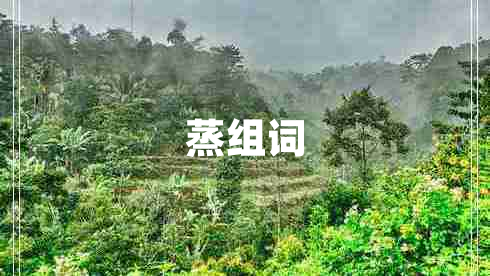 蒸組詞