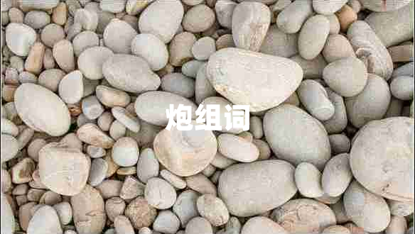炮組詞