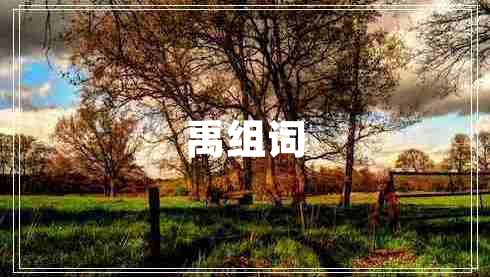禹組詞