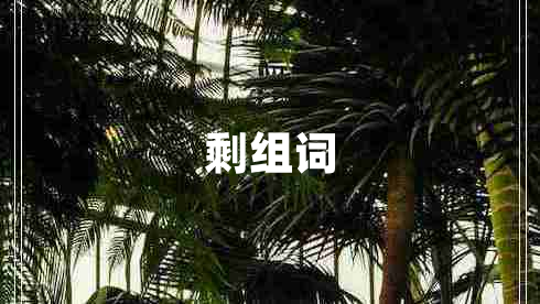 剩組詞