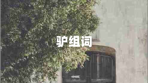 驢組詞