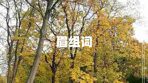 眉組詞
