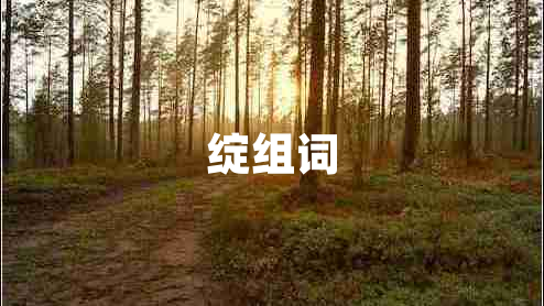 綻組詞