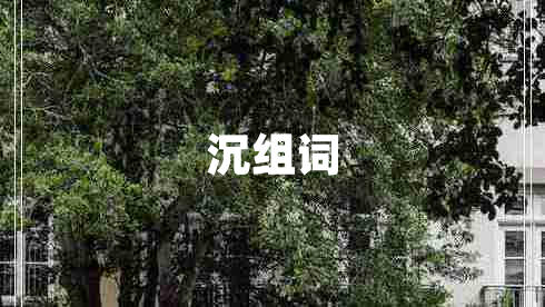 沉組詞