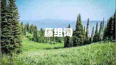 藤組詞
