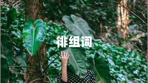 徘組詞