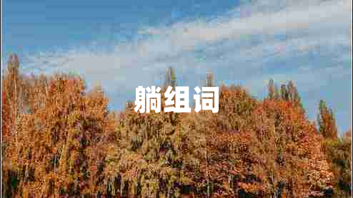躺組詞