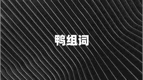 鴨組詞