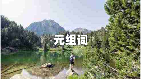 元組詞