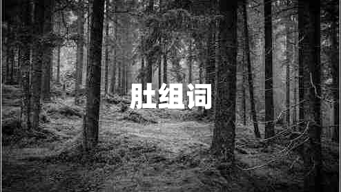 肚組詞