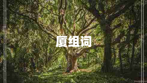 廈組詞