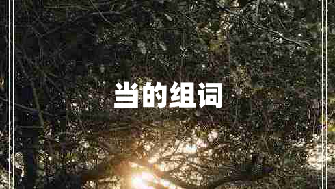 當?shù)慕M詞