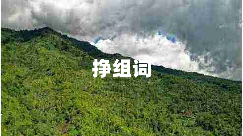 掙組詞
