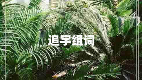 追字組詞