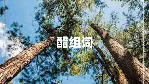 醋組詞