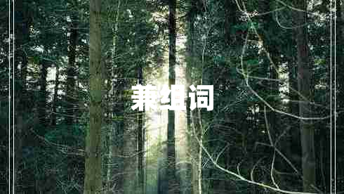 兼組詞