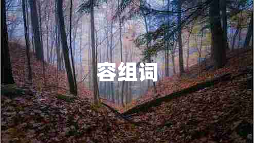 容組詞