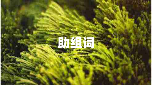 助組詞