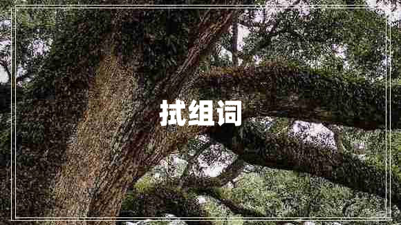 拭組詞