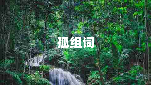 孤組詞