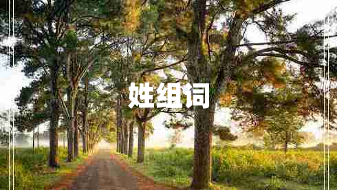 姓組詞