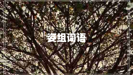姿組詞語