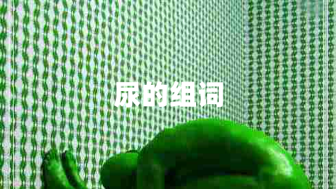 尿的組詞