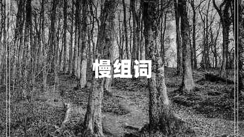 慢組詞