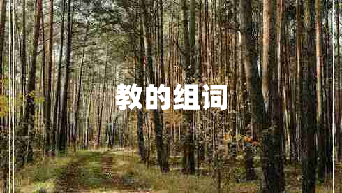 教的組詞