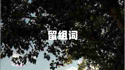 留組詞