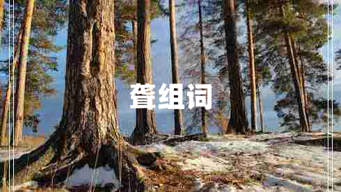 聾組詞