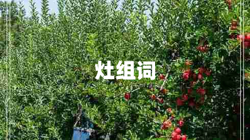 灶組詞