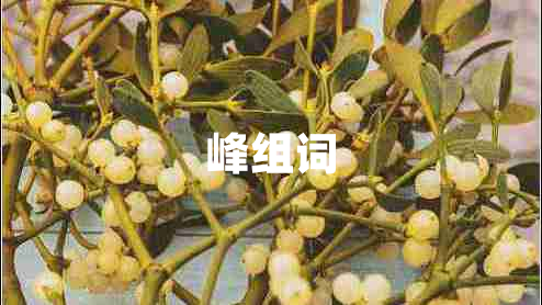 峰組詞