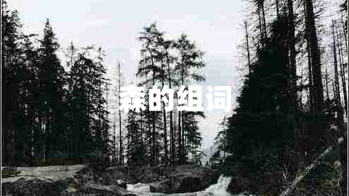 森的組詞