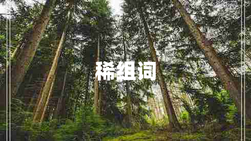 稀組詞