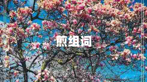 煎組詞