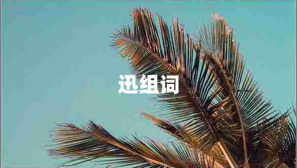 迅組詞