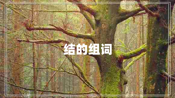 結(jié)的組詞