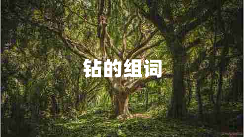 鉆的組詞
