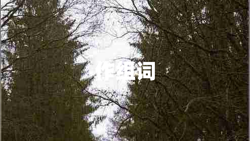 作組詞