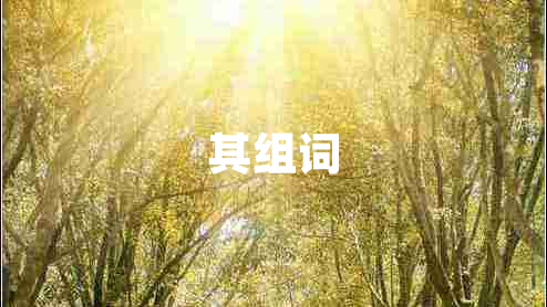 其組詞