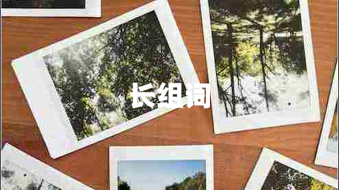 長組詞