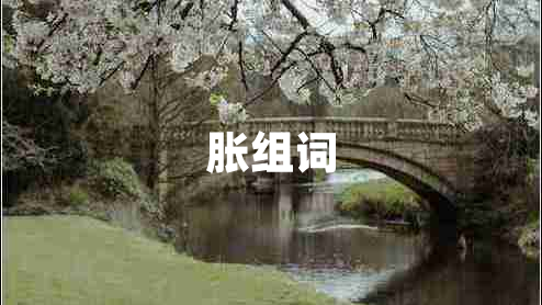 脹組詞