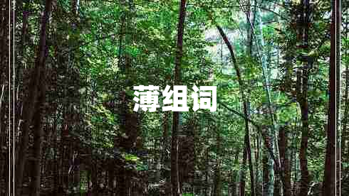 薄組詞