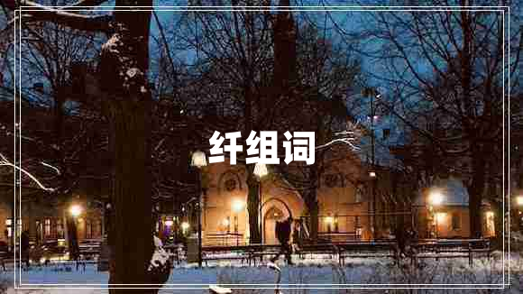 纖組詞