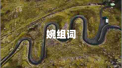 婉組詞