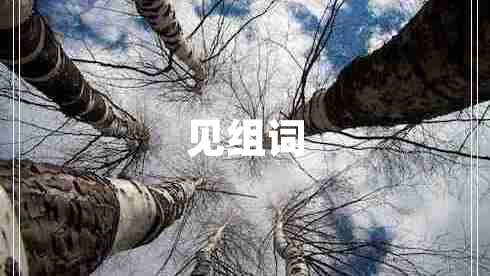 見組詞