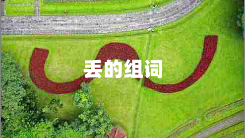 丟的組詞